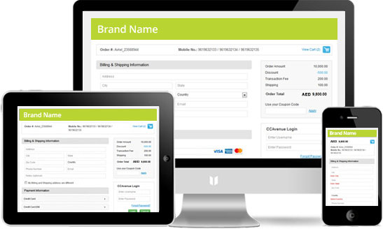 Fully Responsive Transaction Page